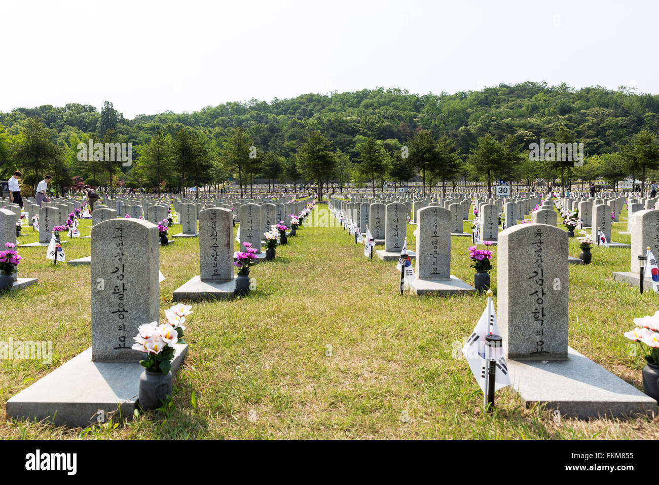 Les parcelles de sépulture, le Cimetière National de Séoul. Banque D'Images