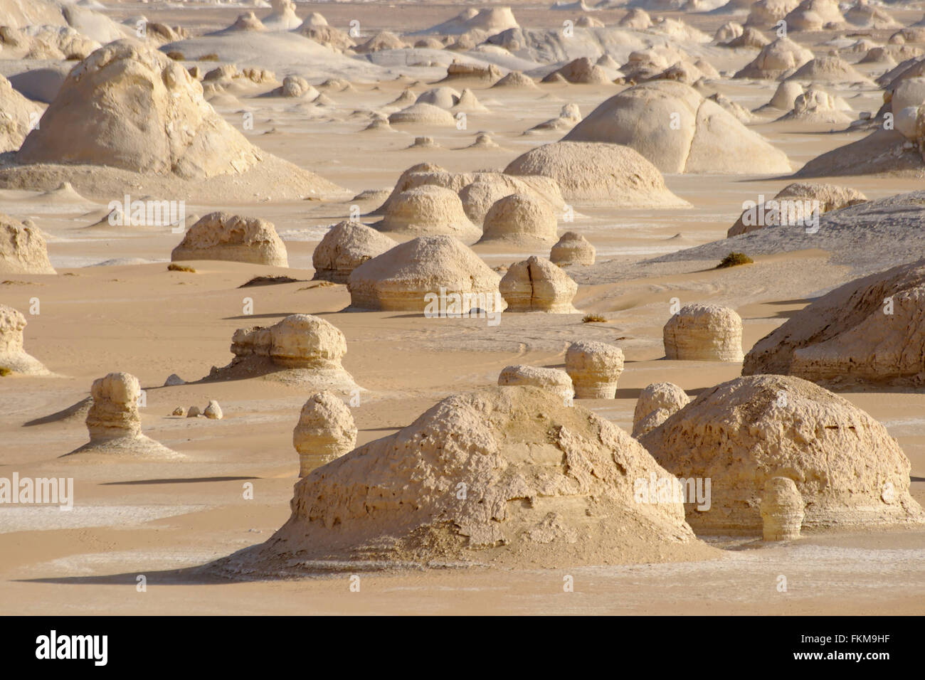 Yardangs, formations rocheuses dans le désert blanc, Egypte Banque D'Images