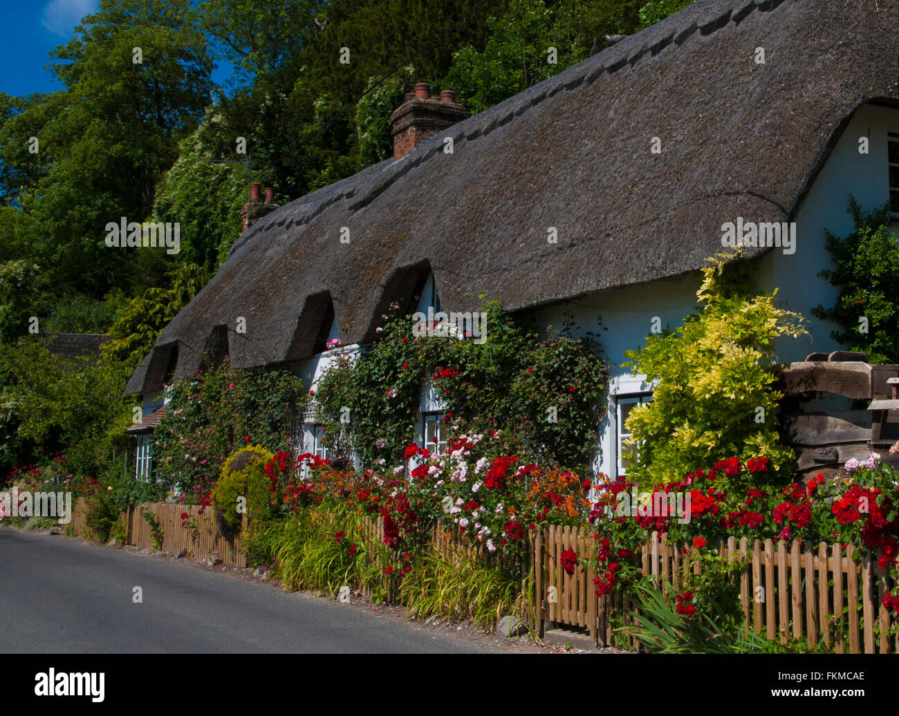 Thathched,Chalet,Wherwell Hampshire ,en Angleterre. Banque D'Images