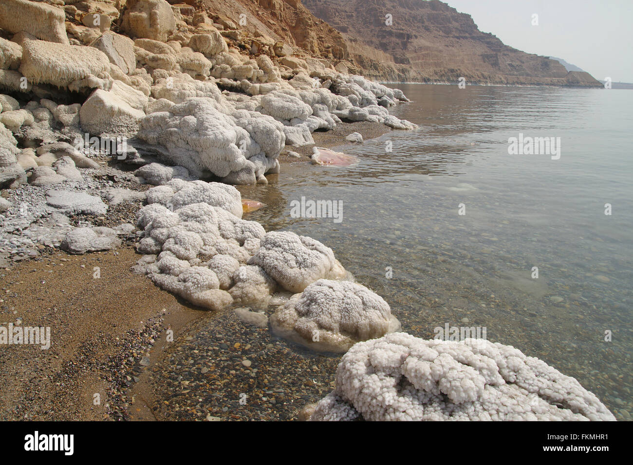 Les dépôts de sel sur les bords de la Mer Morte, Jordanie, Wadi Mujib Banque D'Images