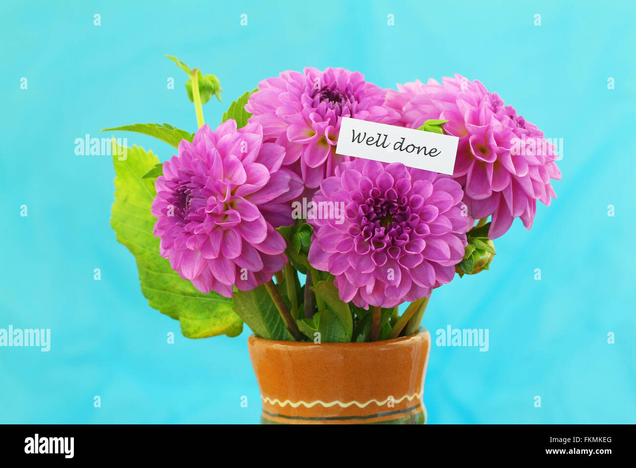 Bien fait avec des fleurs dahlia rose carte sur fond bleu Banque D'Images