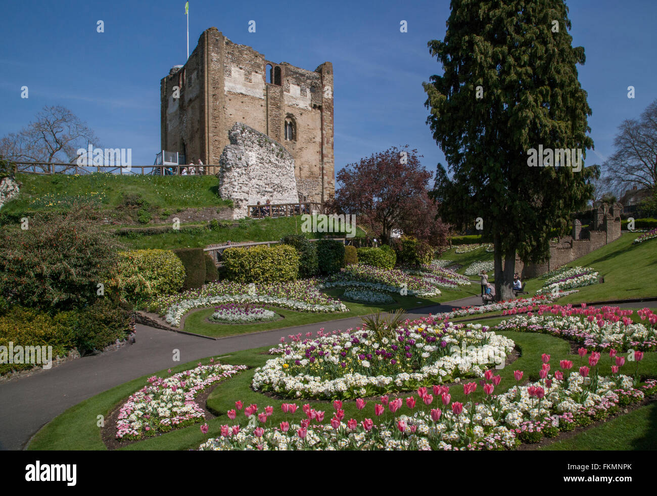 Donjon du Château de Guildford Surrey en Angleterre ,et motifs Banque D'Images