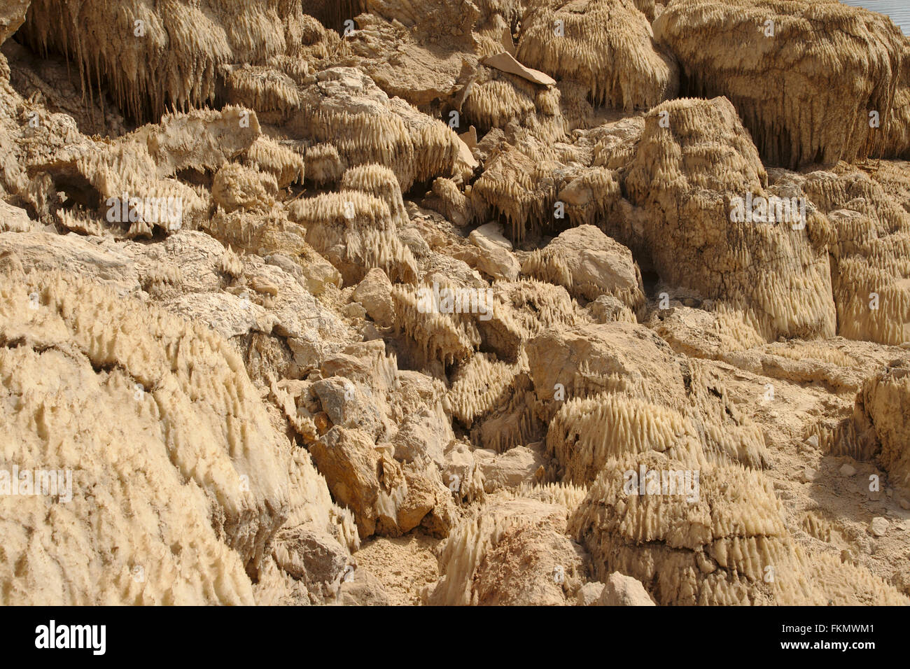 Les dépôts de sel sur les bords de la Mer Morte, Jordanie, Wadi Mujib Banque D'Images