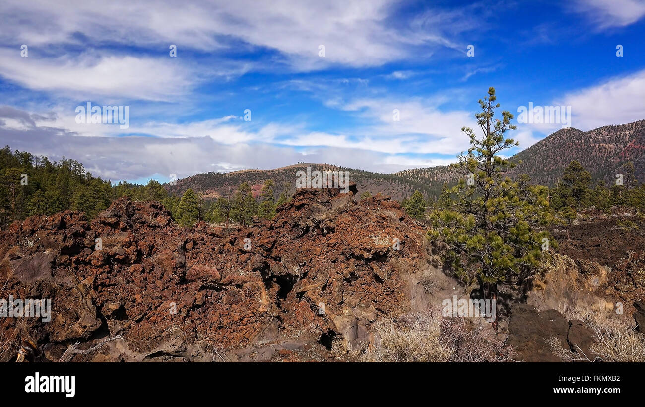 Une ancienne coulée de lave recouvre le sol à Sunset Crater National Monument en Arizona Banque D'Images