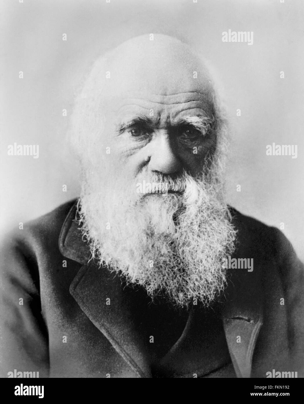 Charles Darwin (1809-1882). Portrait, date inconnue. Banque D'Images