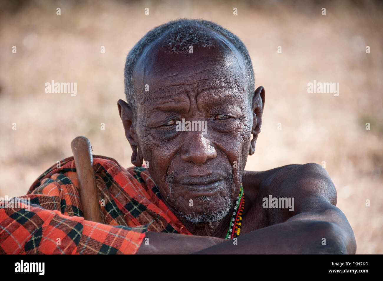 Portrait d'un Aîné Tribal Samburu National Reserve, Samburu, Kenya, Afrique de l'Est Banque D'Images