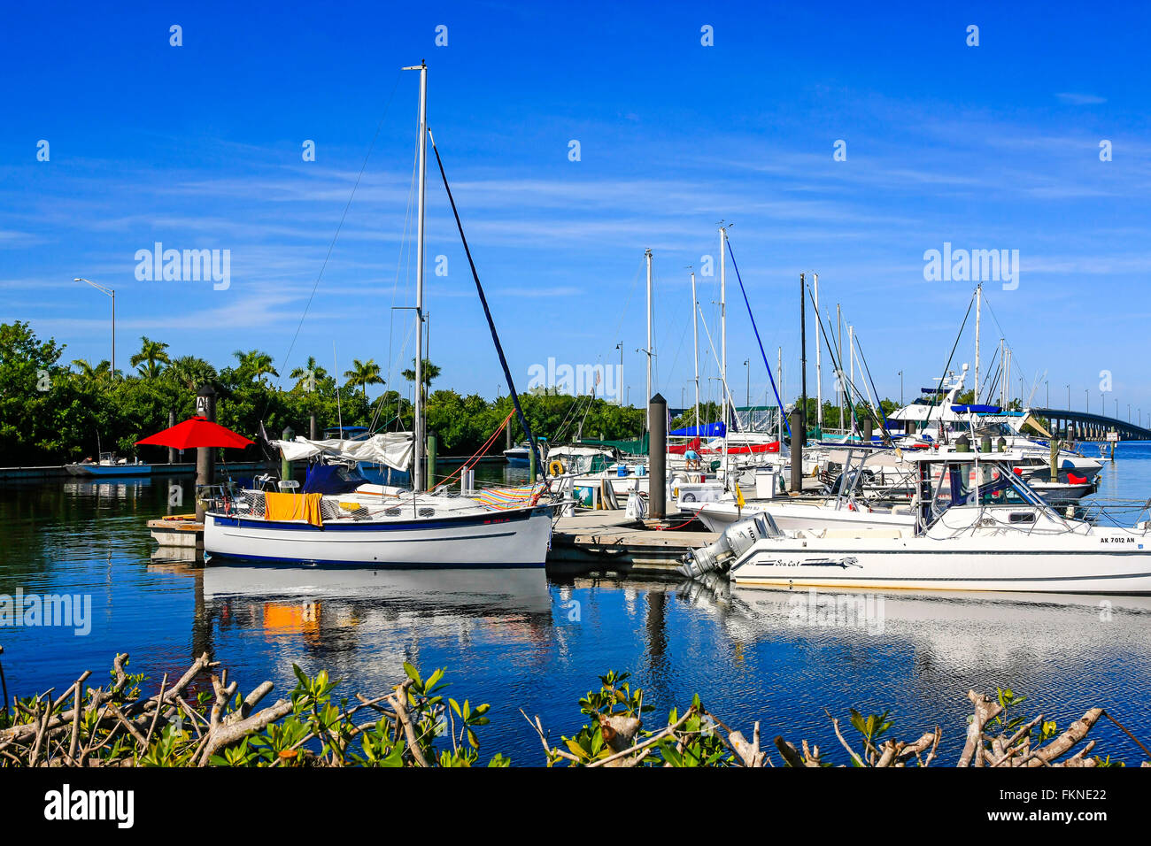 Charlotte Harbor Marina de Punta Gorda, SW Florida Banque D'Images