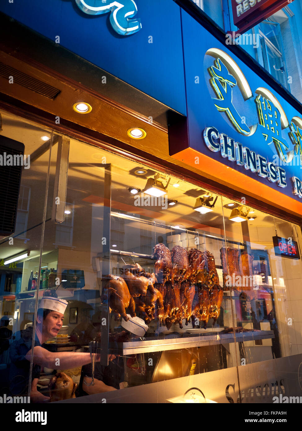 CHINATOWN RESTAURANT FENÊTRE CANARD CROUSTILLANT Chef organisant des rangées de canard de Pékin suspendu à l'air séchage restaurant chinois au crépuscule, Gerrard Street Soho Londres Banque D'Images