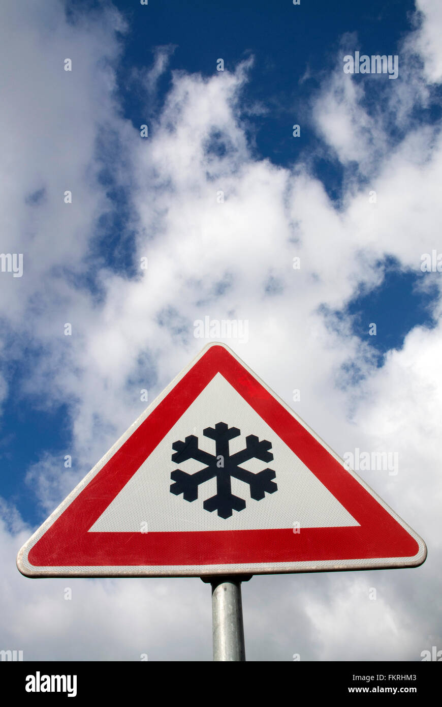 Kit De 41 Pièces Pour Polissage Dentaire - Fraises, Roues Silicone, Caoutchouc, Tungstène