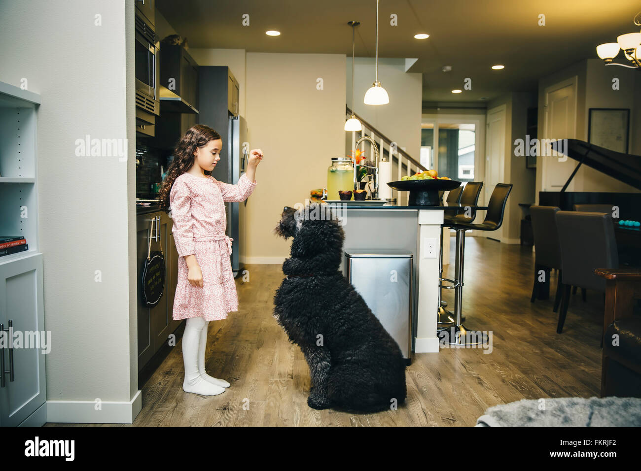 Mixed Race girl chien formation en cuisine Banque D'Images