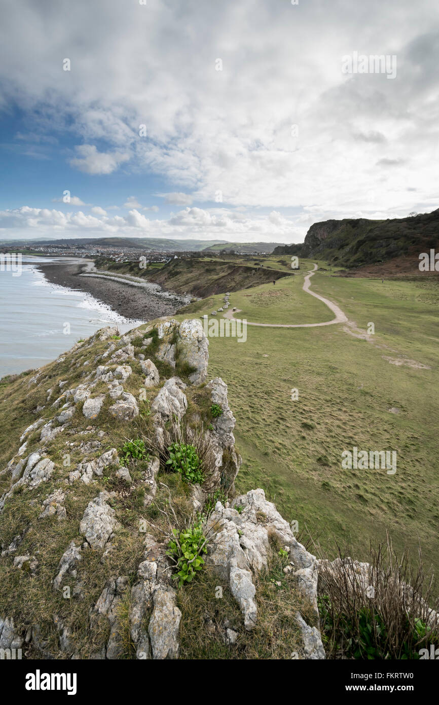 Peu d'Ormes à la tête du pays de Galles du nord de la baie de Penrhyn Banque D'Images