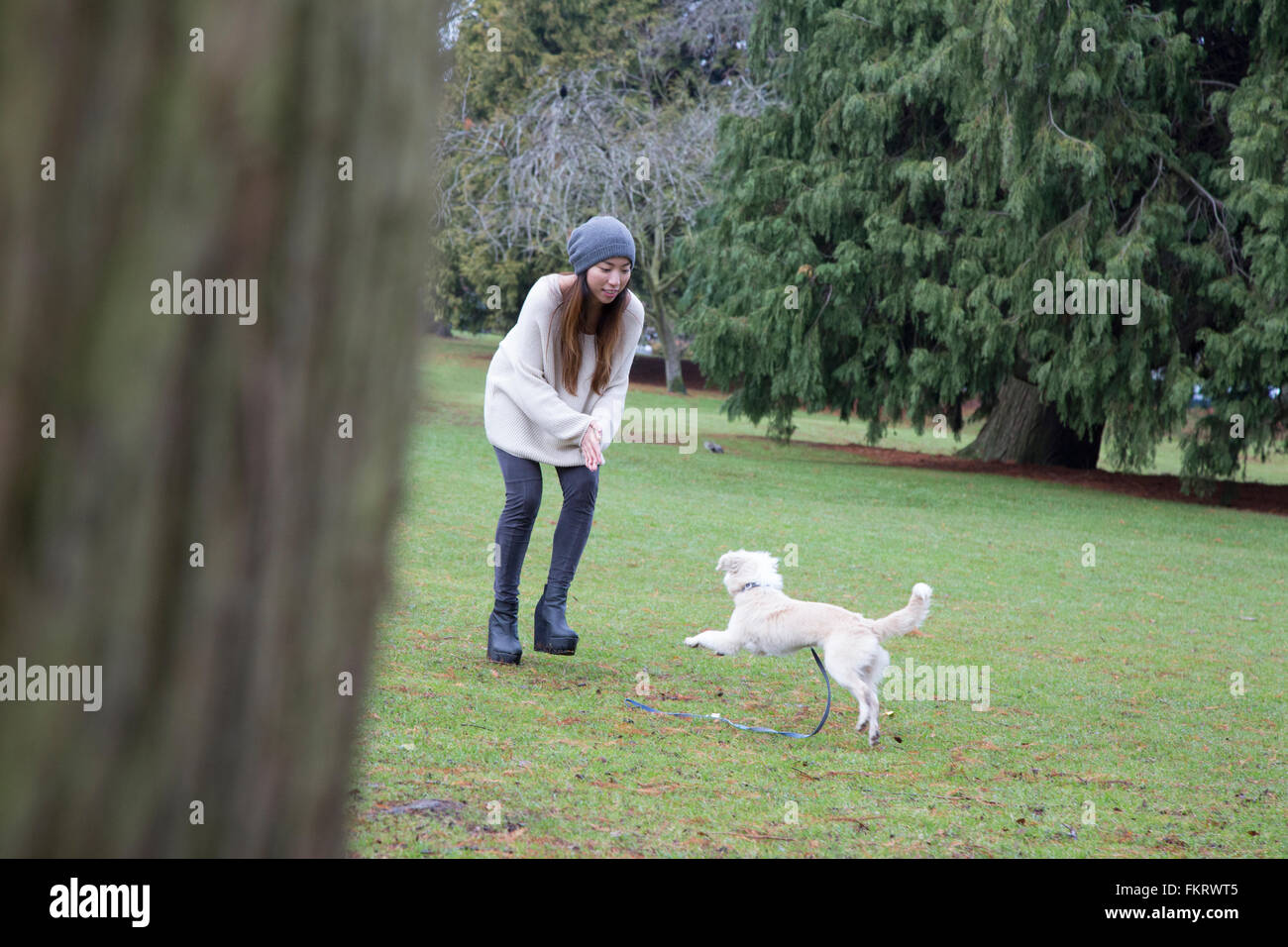 Japanese woman Playing with dog in park Banque D'Images