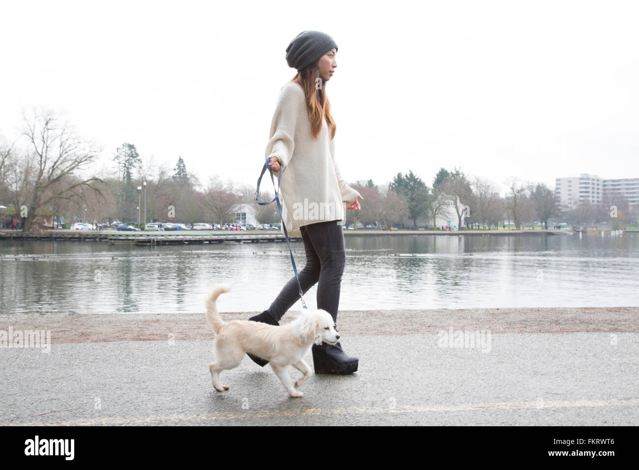 Japanese woman walking dog près du lac Banque D'Images