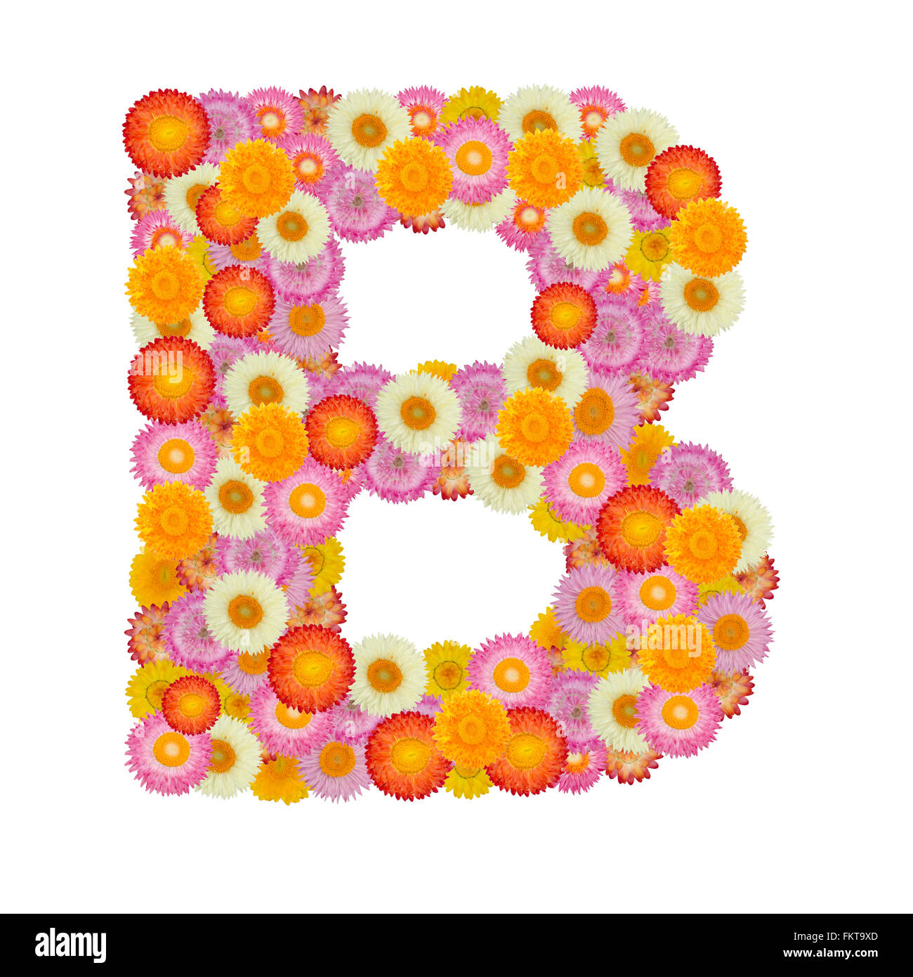 Lettre B alphabet à fleur de paille isolé sur fond blanc Banque D'Images