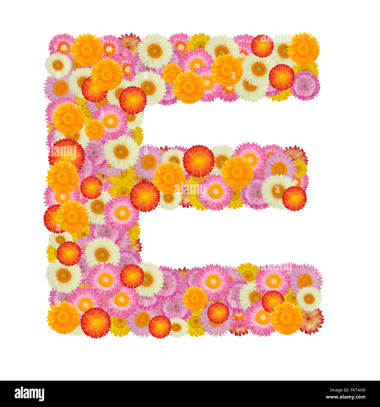 Alphabet Lettre E avec fleur de paille isolé sur fond blanc Banque D'Images