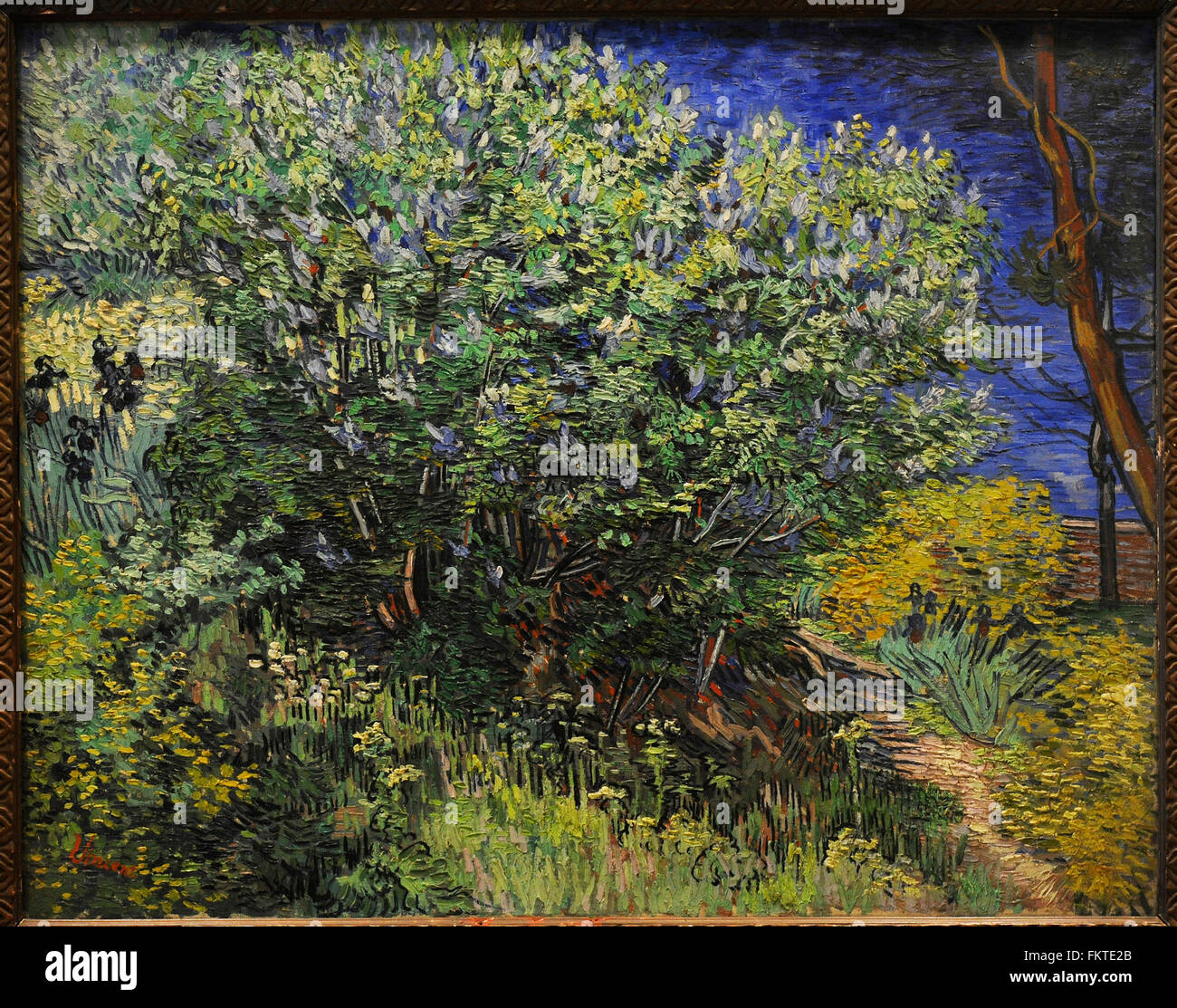 Vincent Van Gogh (1853-1890). Peintre postimpressionniste néerlandais. Lilac Bush, 1889. Huile sur toile. Le Musée de l'Ermitage. Saint Petersburg. La Russie. Banque D'Images