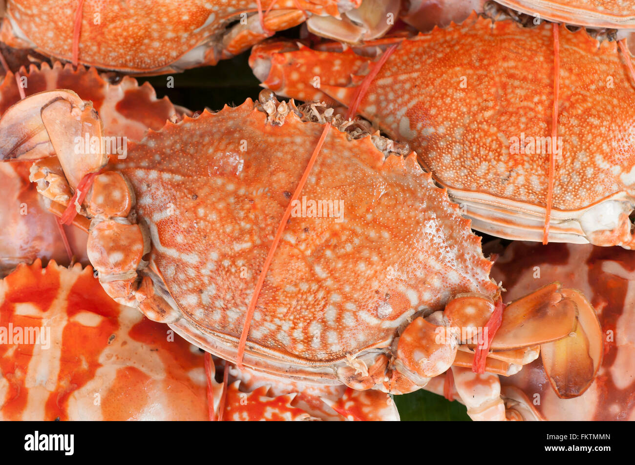 Les crabes en vapeur du marché des fruits de mer. Banque D'Images