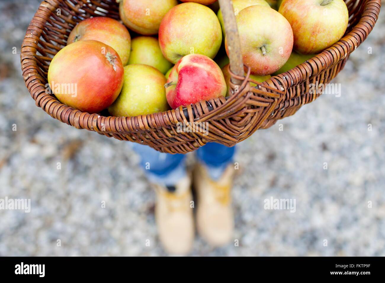 Panier plein des pommes, high angle Banque D'Images