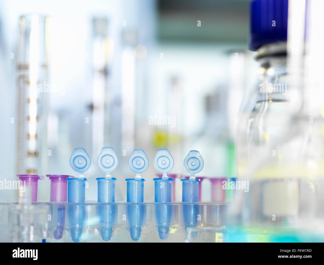 Rangée de l'Eppendorf vial dans l'attente de l'échantillon pour l'essai en laboratoire Banque D'Images