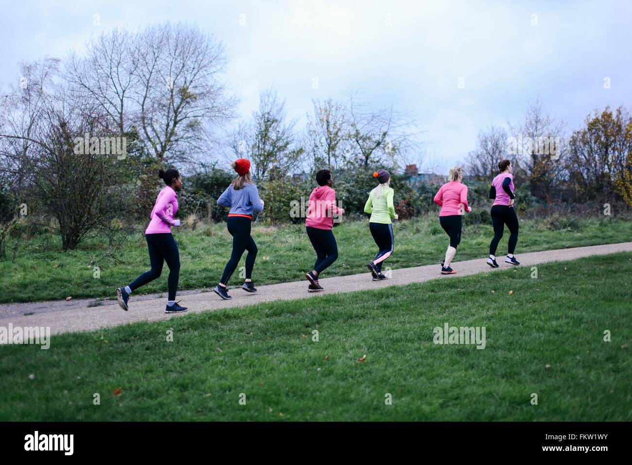 Six coureurs femelles adultes sentier du parc Banque D'Images