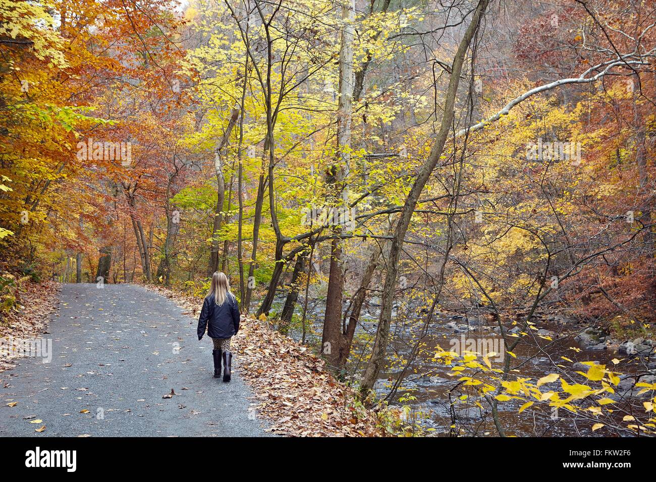 Girl walking in forest Banque D'Images