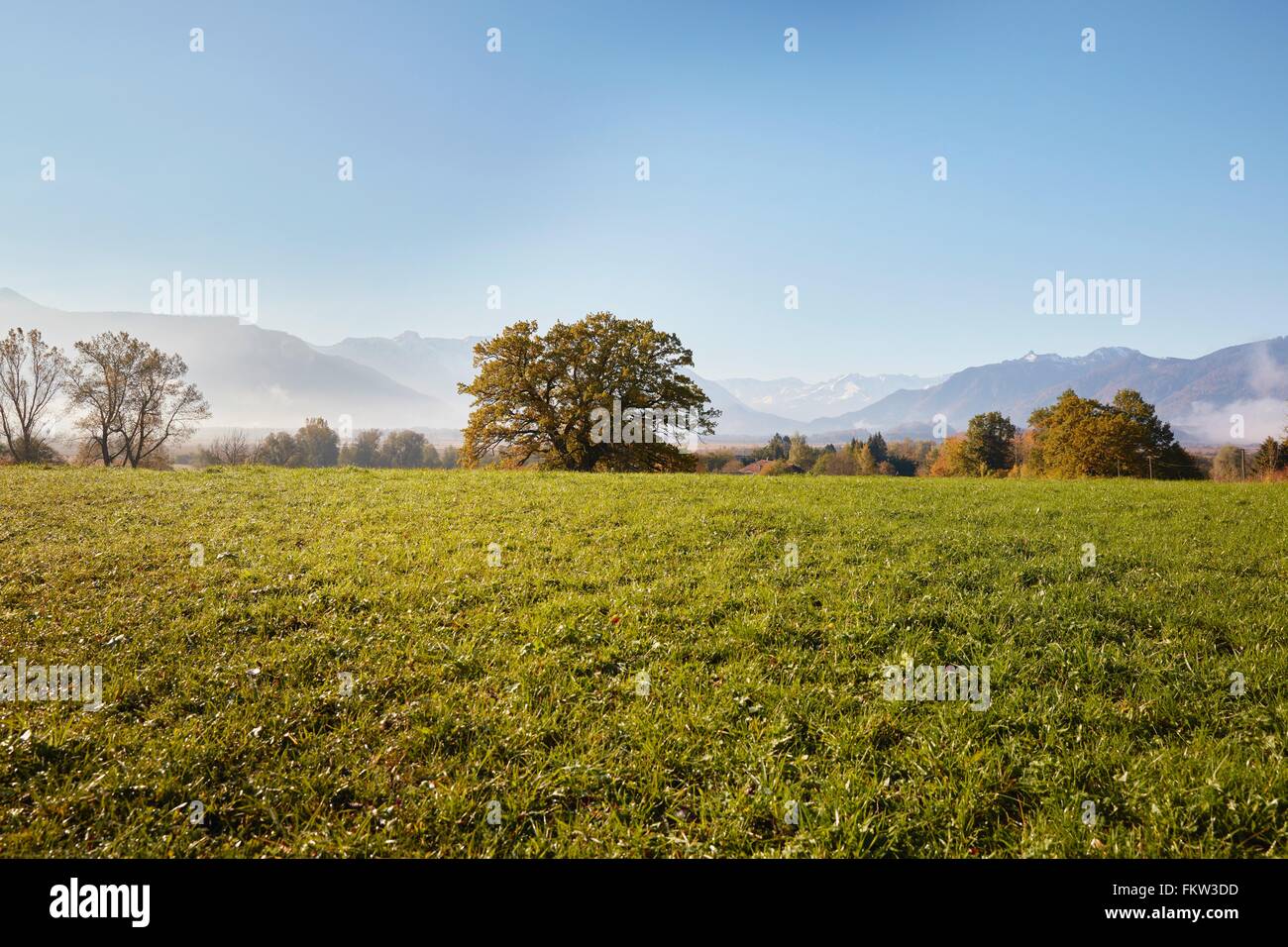 Paysage avec vue lointaine de Murnauer Moos, du Wetterstein, Murnau, Bavière, Allemagne Banque D'Images