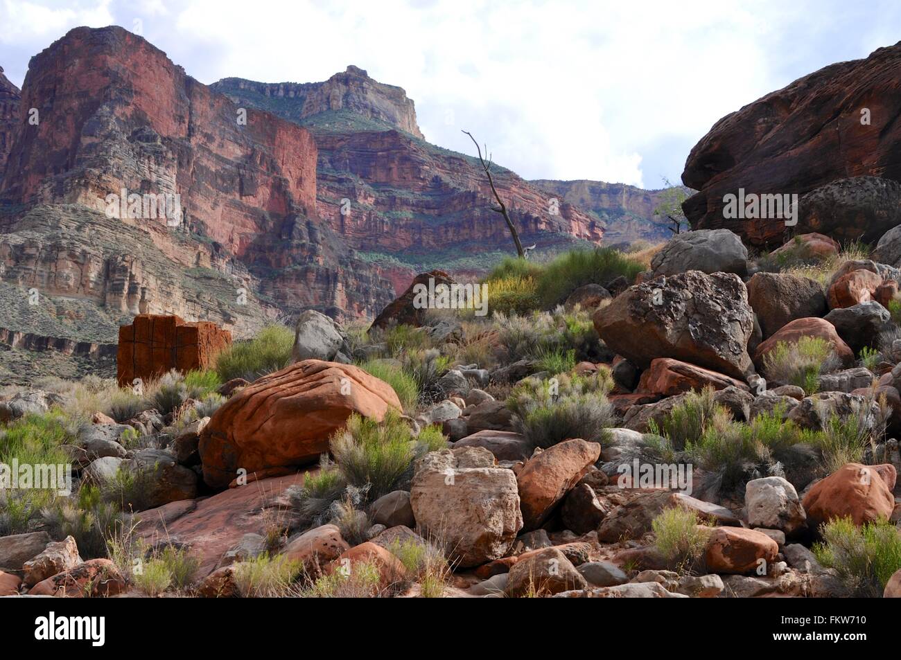 Le Parc National du Grand Canyon, Arizona Banque D'Images