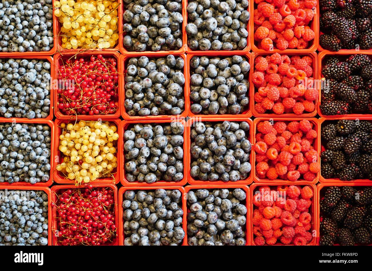 Fruits des carrés colorés dans les conteneurs dans le farmers market Banque D'Images