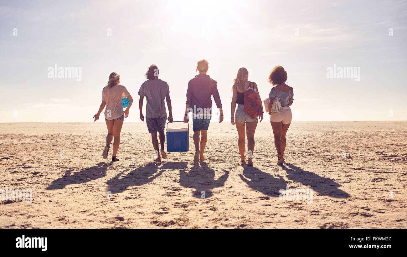 Vue arrière portrait de groupe d'amis la marche sur la plage et d'aider les uns les autres tout en portant une boîte de refroidisseur. Les jeunes sur Banque D'Images