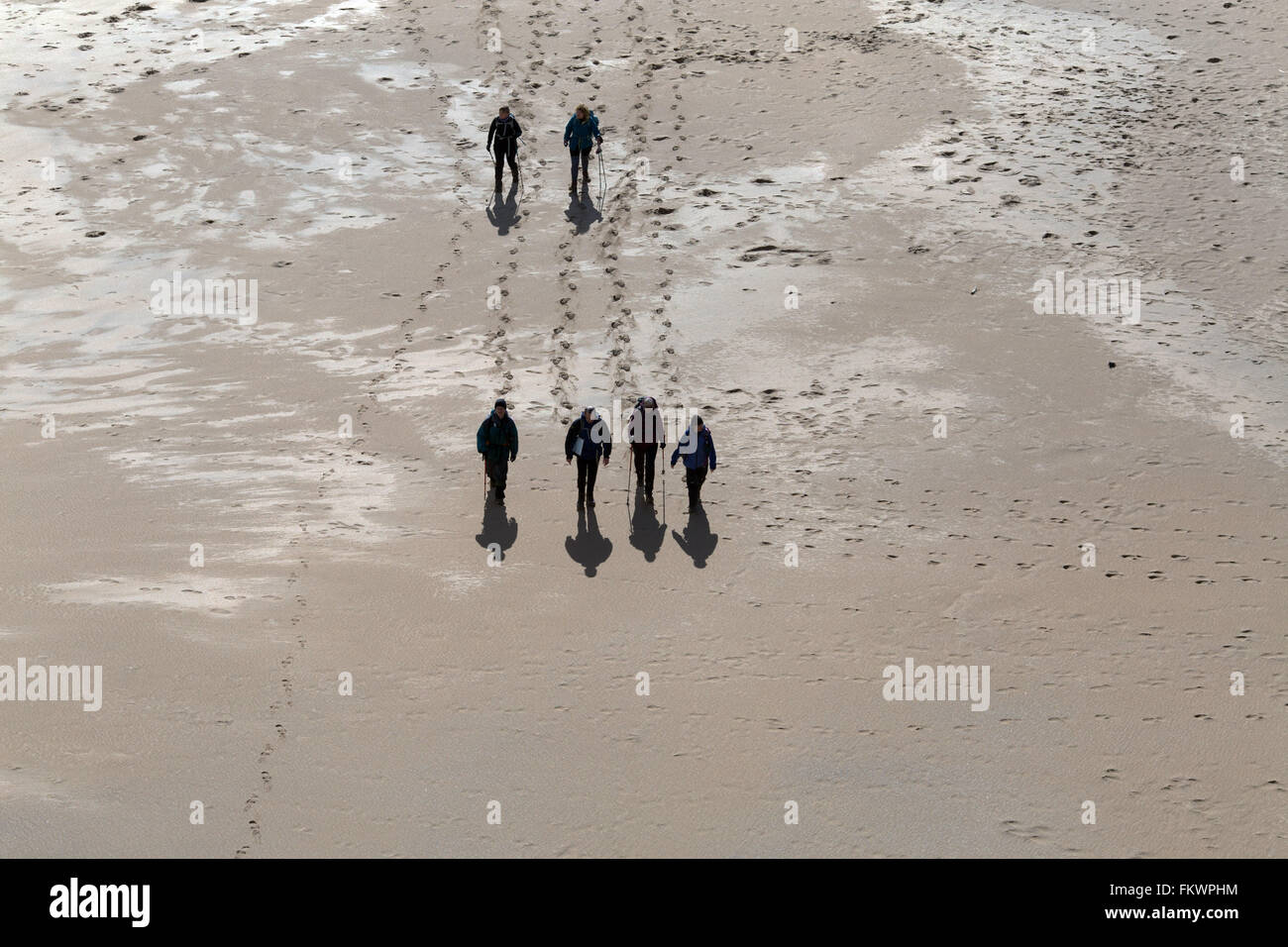 Un groupe de personnes à pied le long de la plage à Barafundle Bay dans la région de Pembrokeshire, Pays de Galles du Sud. Banque D'Images