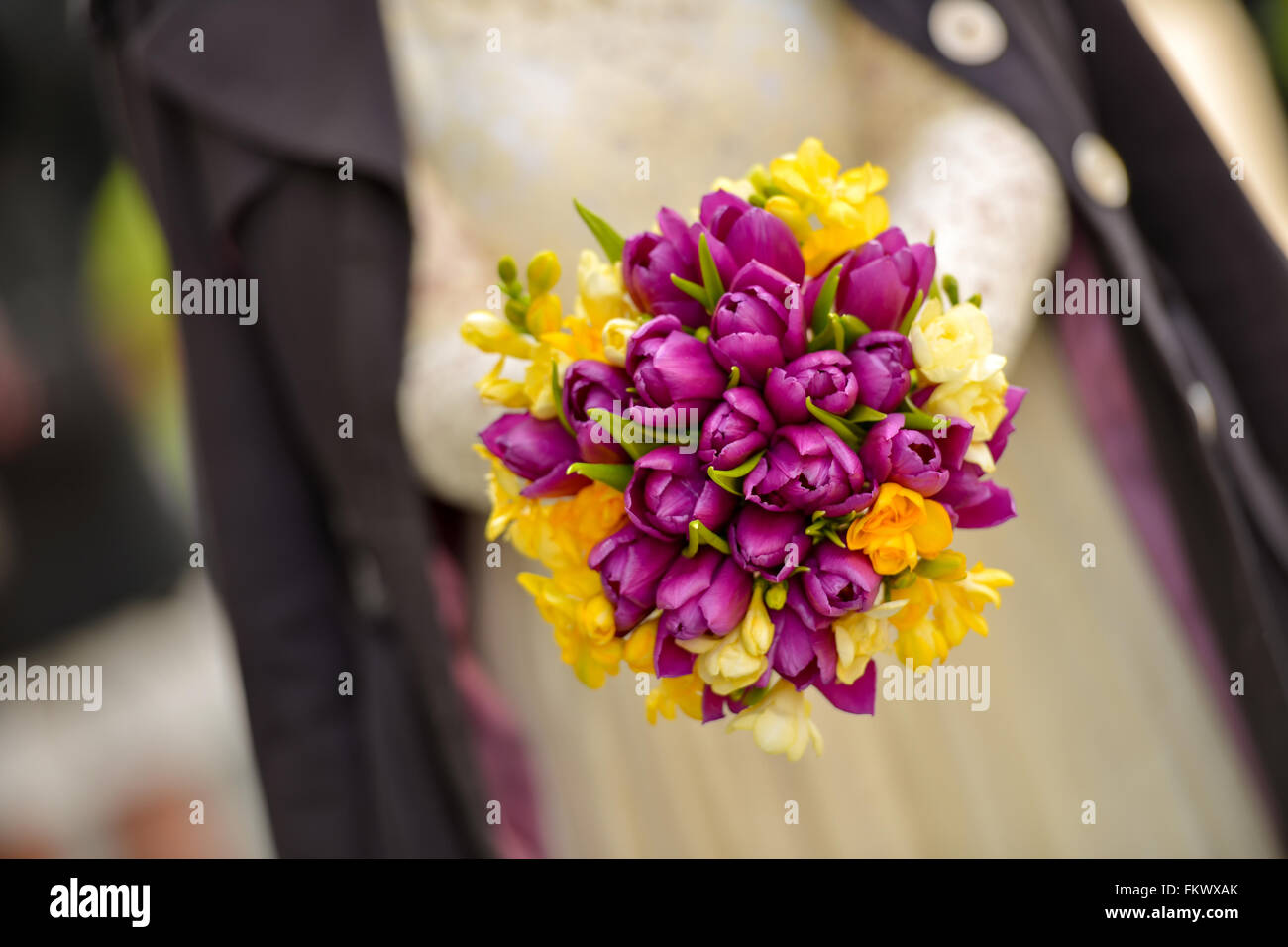 Bouquet composé de tulipes jaune et violet Banque D'Images