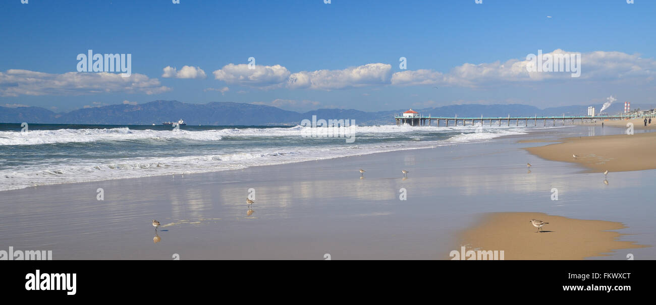 Los Angeles, côté plage à proximité de Manhattan Beach Pier avec pendant la journée Banque D'Images