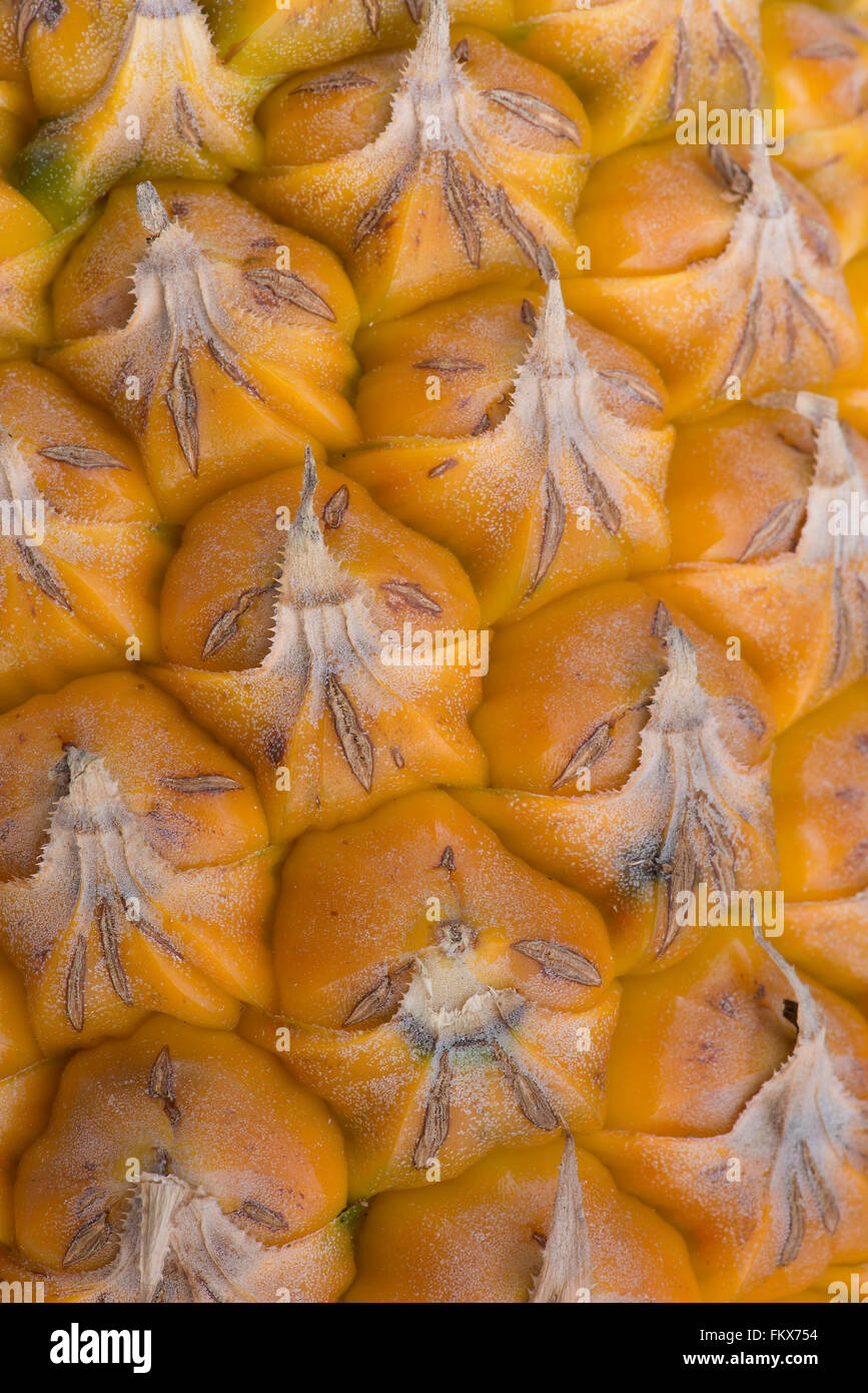 La texture de la peau de l'ananas. Banque D'Images
