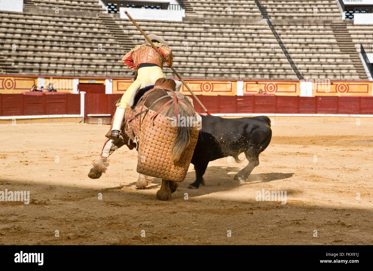 BADAJOZ, ESPAGNE, LE 11 MAI : Formation corrida à huis clos, le 11 mai 2010 à Badajoz, Espagne. La lancer en blessant le taureau Banque D'Images
