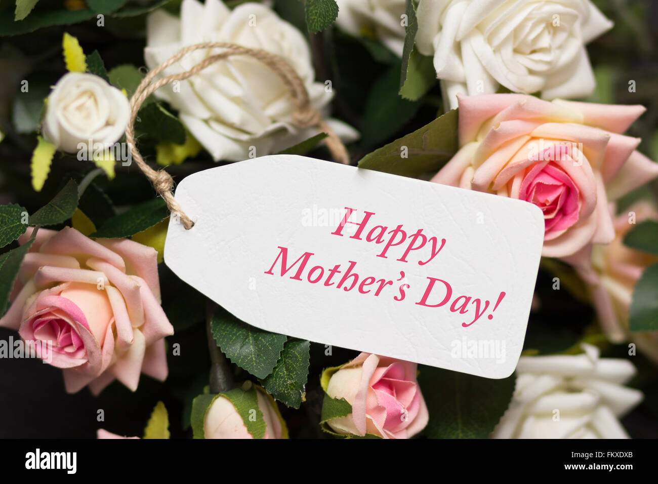 Carte de fête des mères avec des roses rose et blanc rustique Banque D'Images