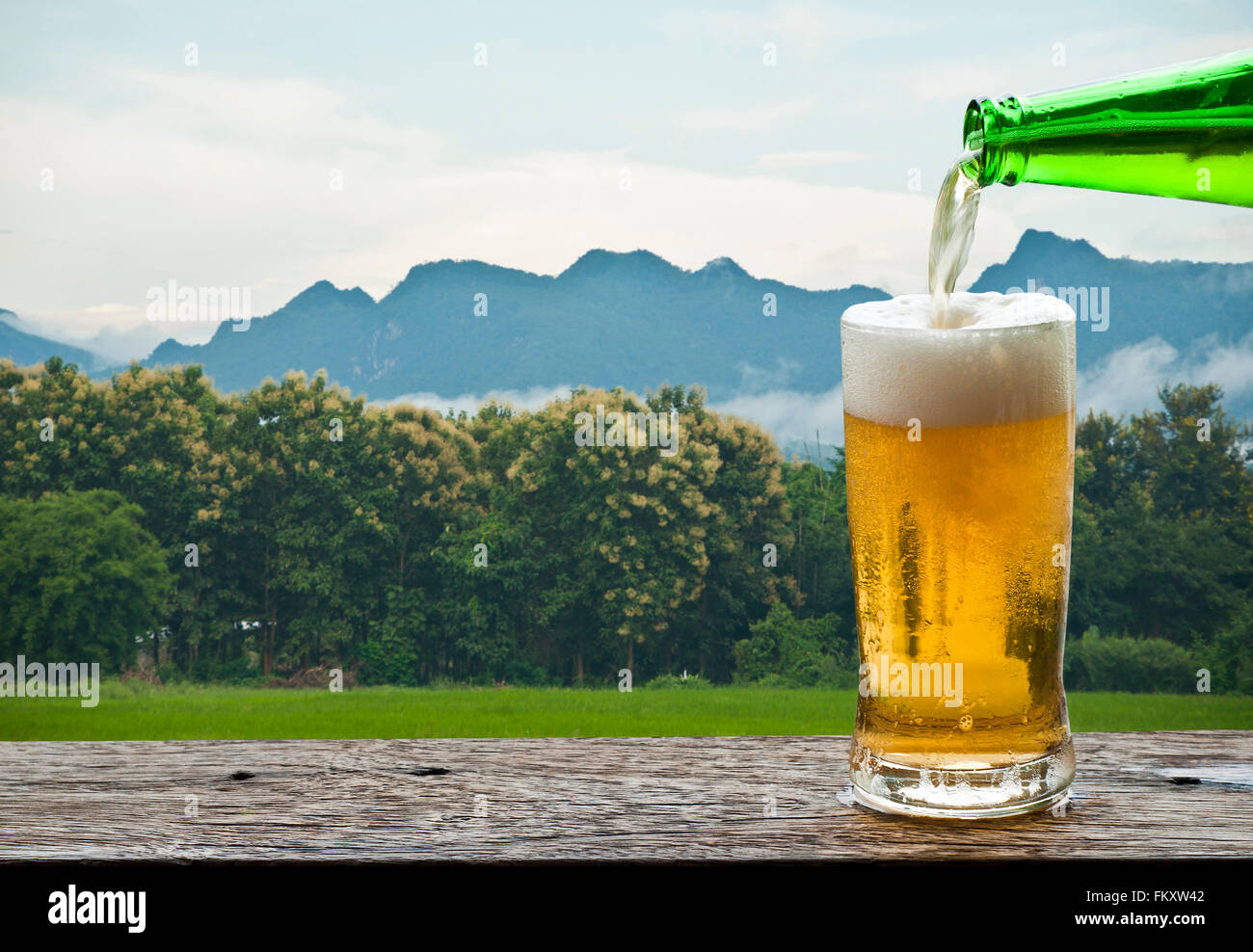Déguster une bière avec paysage de montagne. Banque D'Images