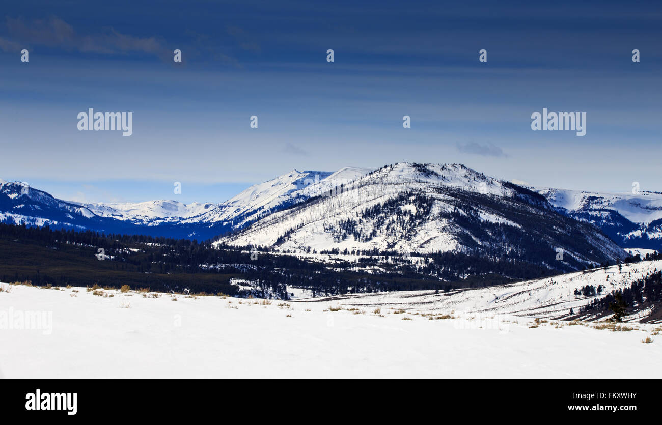 De grandes montagnes couvertes de neige dans le Parc National de Yellowstone. Banque D'Images