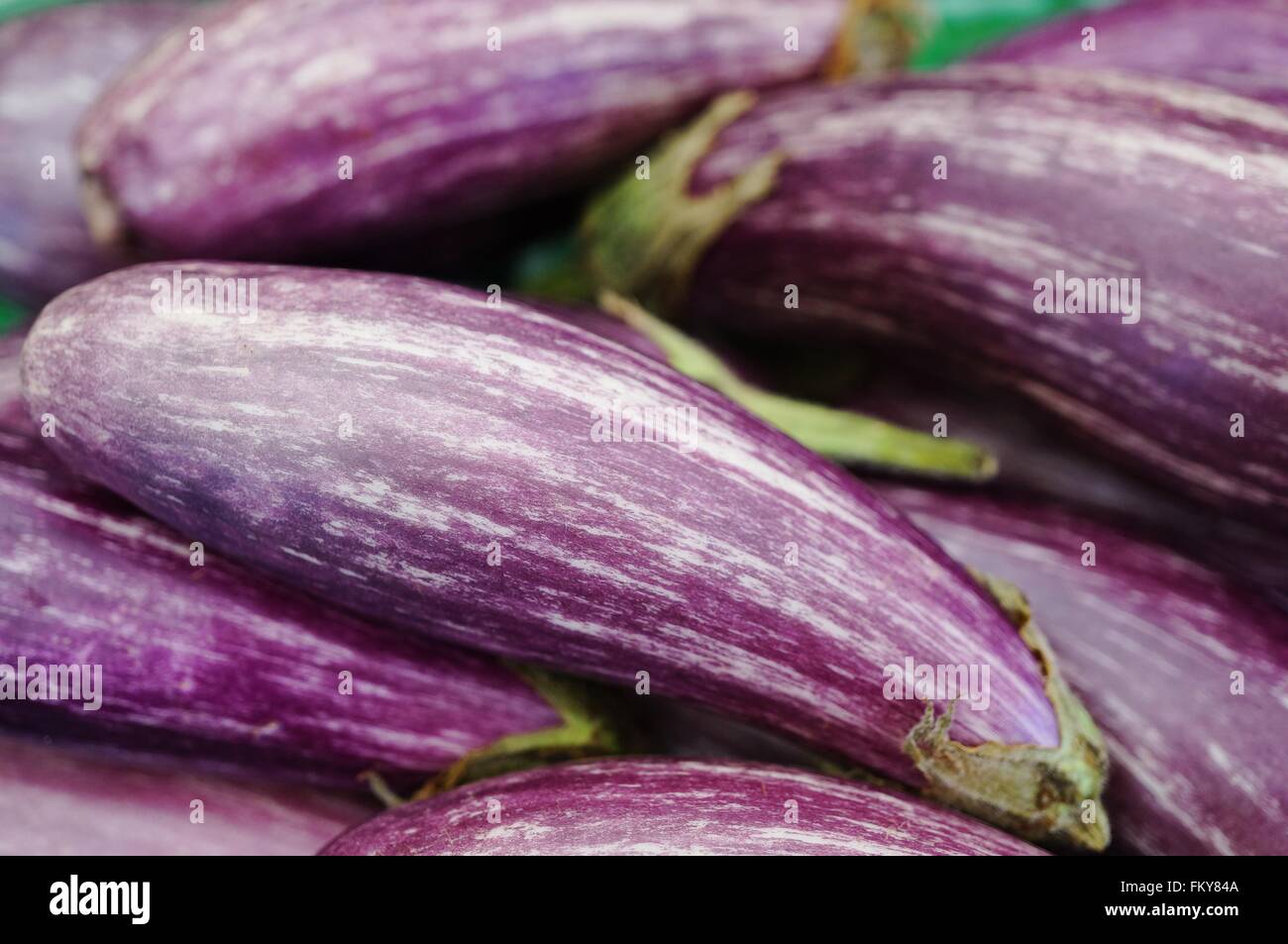 Bébé Mauve et blanc aubergine graffiti Banque D'Images