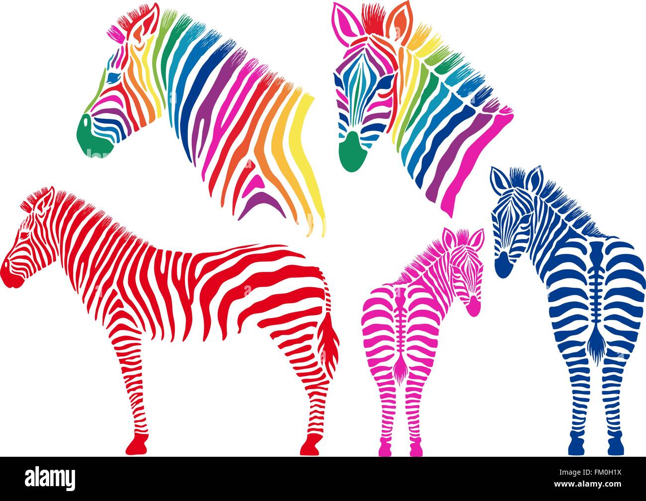 Silhouettes colorées zebra, ensemble d'éléments de conception vectorielle Illustration de Vecteur