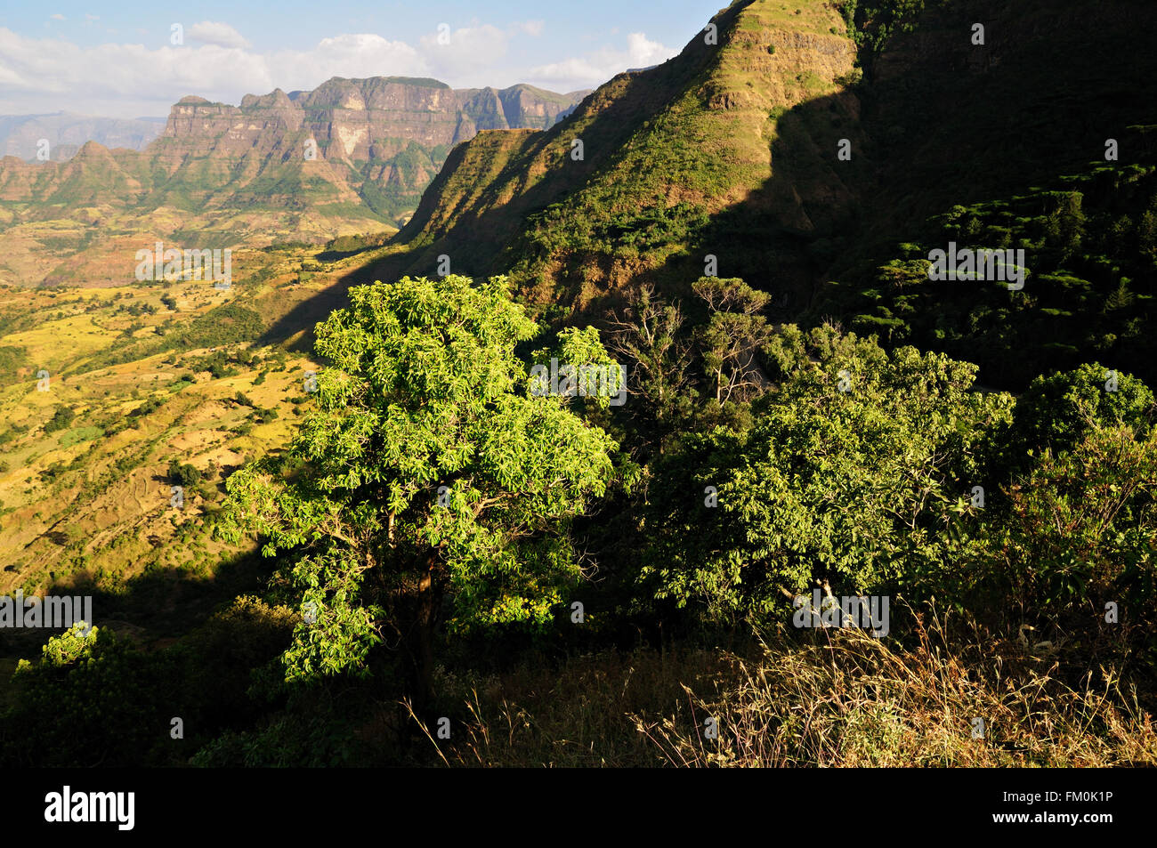 Contreforts des montagnes du Simien National Park, région d'Amhara, en Éthiopie Banque D'Images