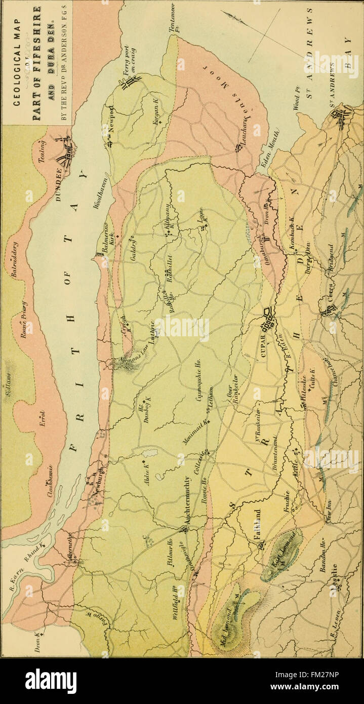 Dura Den - une monographie du grès jaune et ses remarquables vestiges fossiles (1859) Banque D'Images