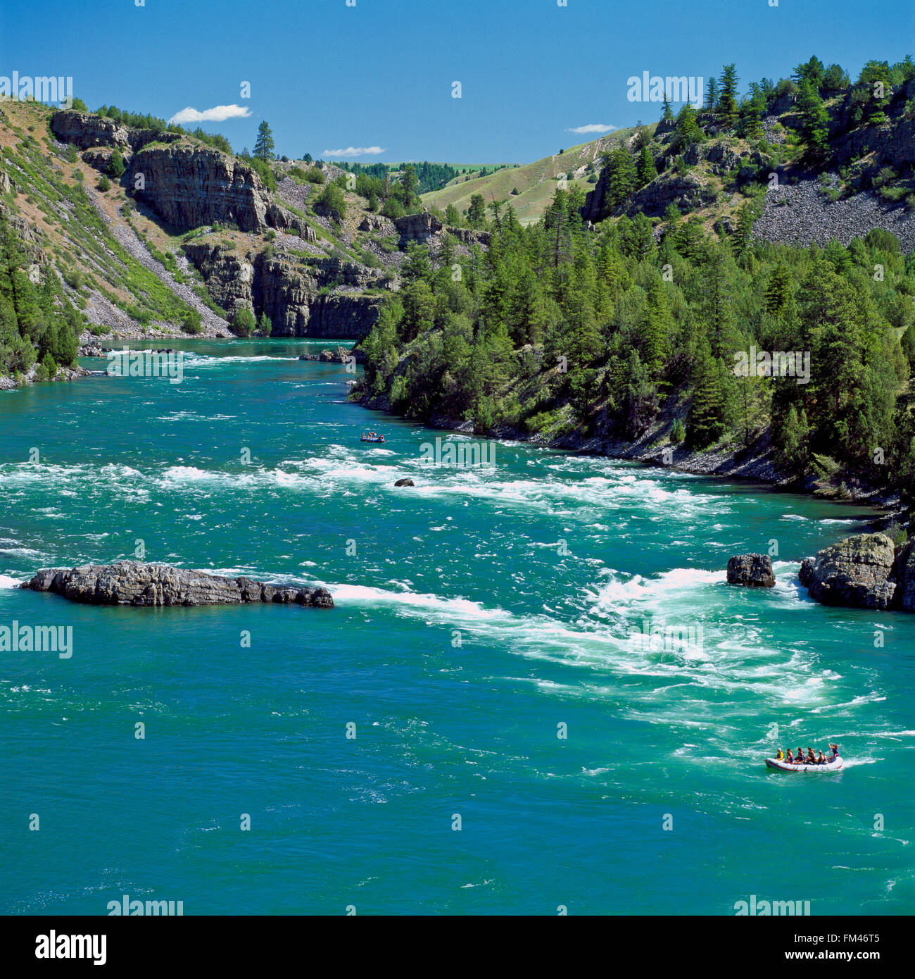 des chevrons qui font courir des rapides de buffle sur la rivière à tête plate dans un canyon sous le barrage de kerr près de polson, montana Banque D'Images