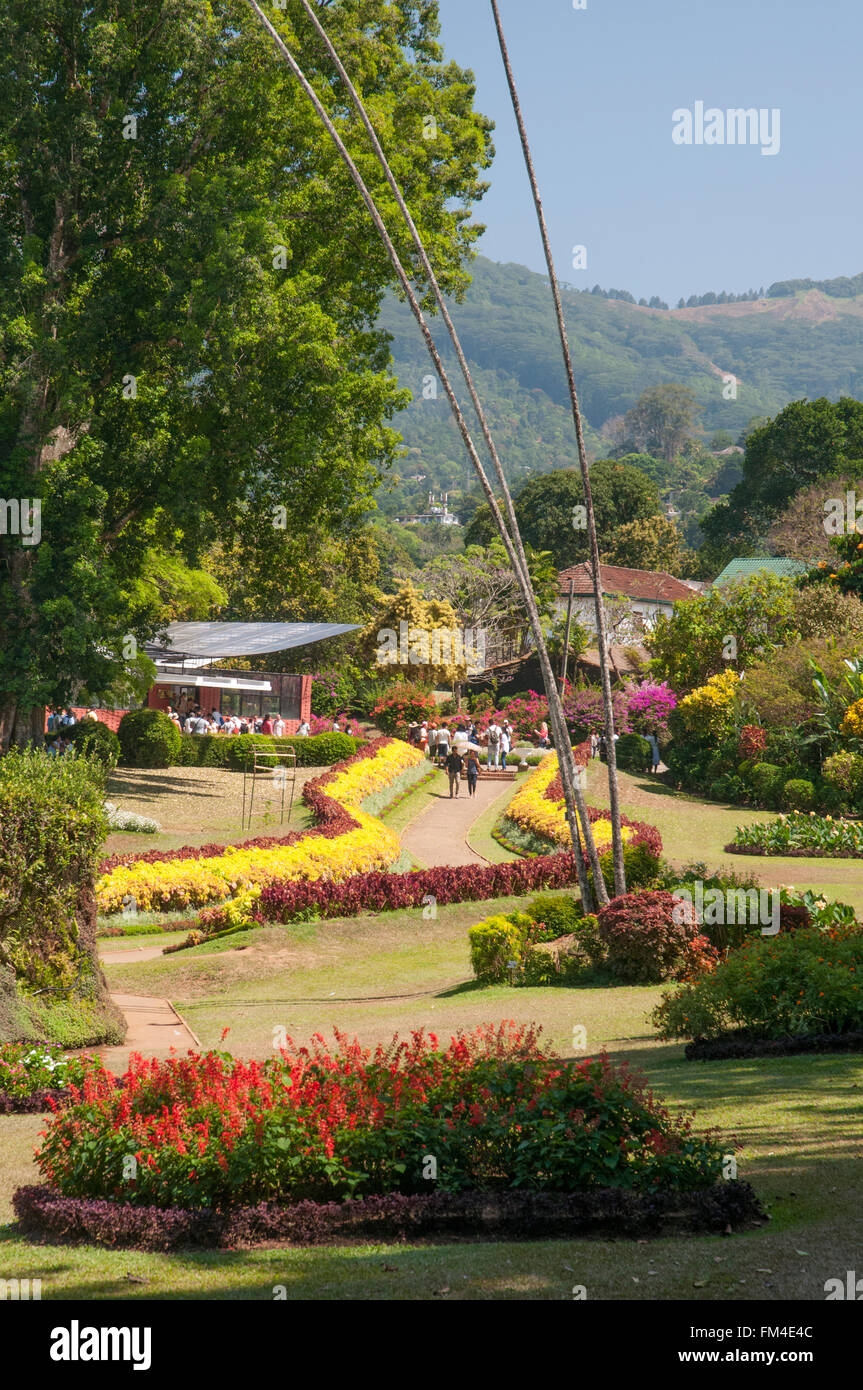 Jardins botaniques royaux, Peradeniya, Sri Lanka Banque D'Images