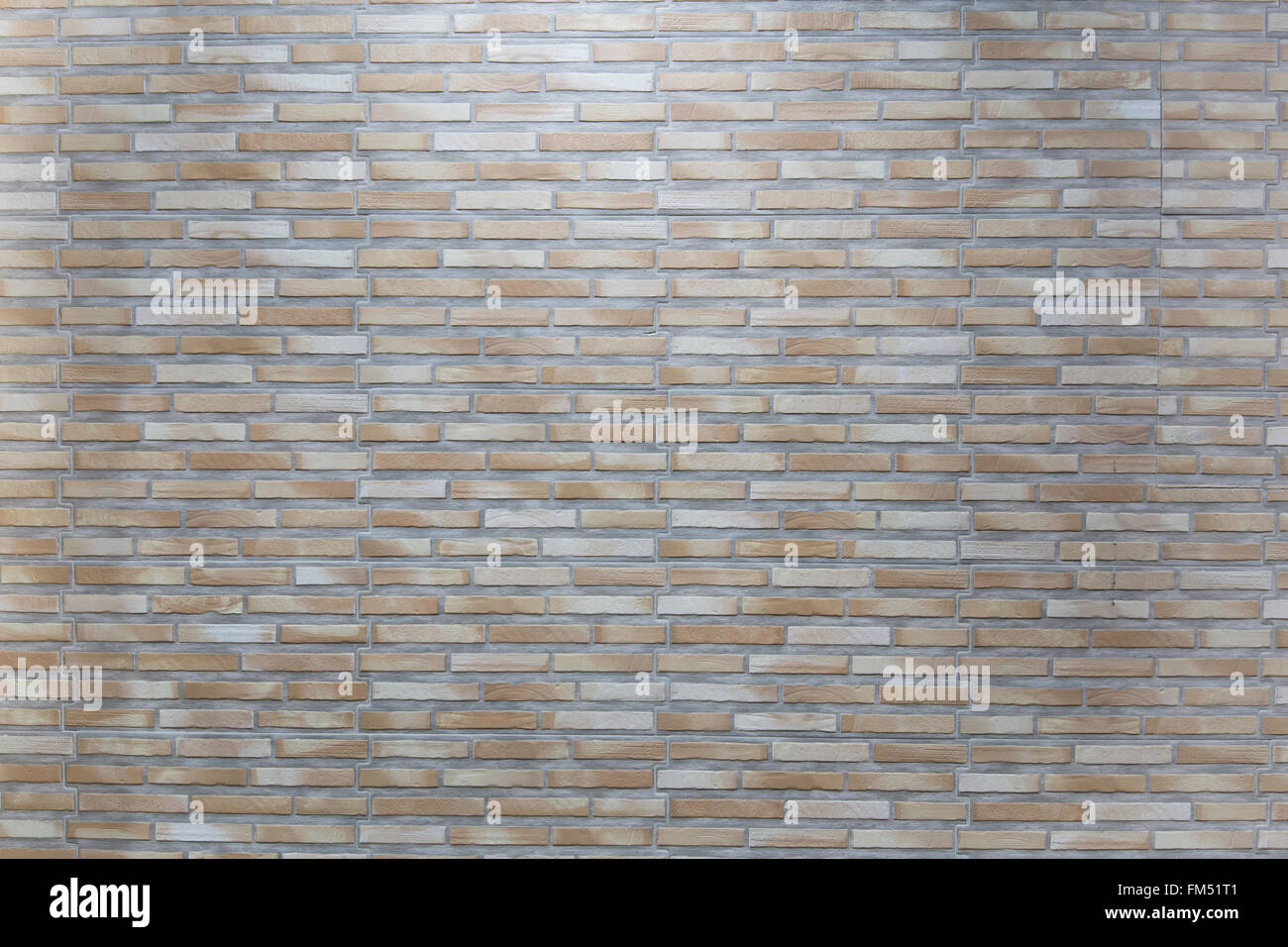 Modèle de mur et de porte Banque D'Images