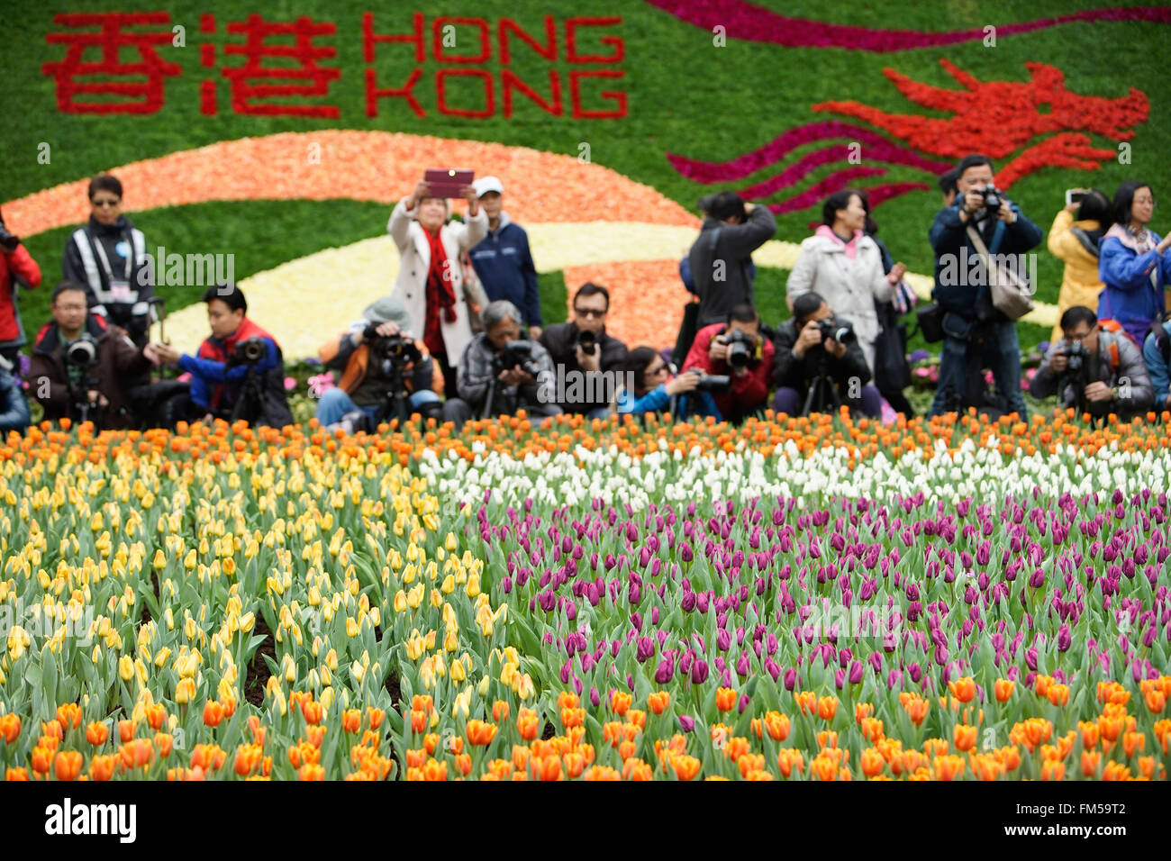 Hong Kong, Chine. Mar 11, 2016. Les visiteurs de prendre des photos de fleurs fleurs de Hong Kong au cours de l'exposition au parc Victoria à Hong Kong, Chine du sud, le 11 mars 2016. © Ng Wing Kin/Xinhua/Alamy Live News Banque D'Images