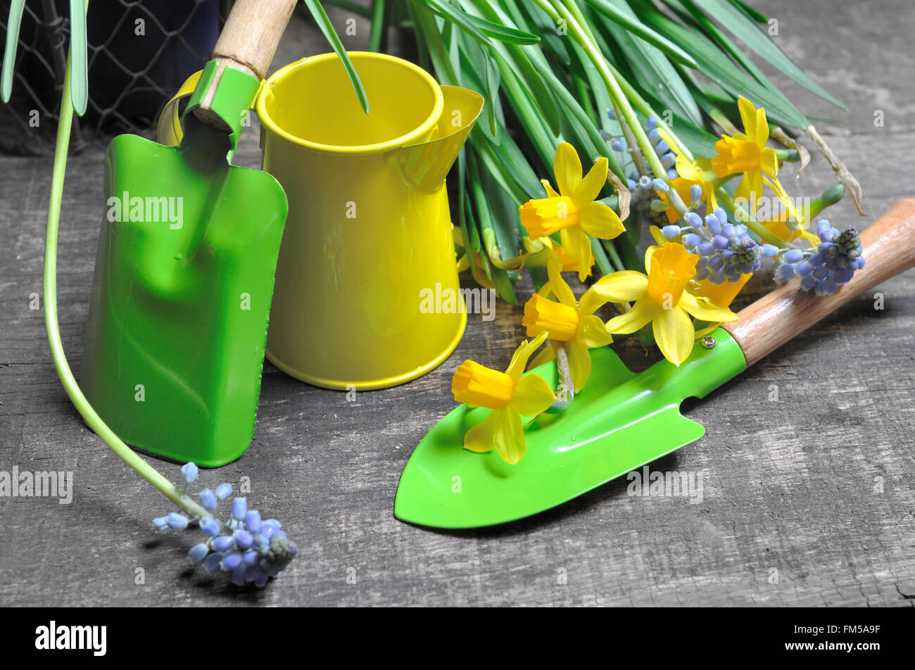 Outils de jardinage colorés avec des fleurs de printemps sur des planches Banque D'Images