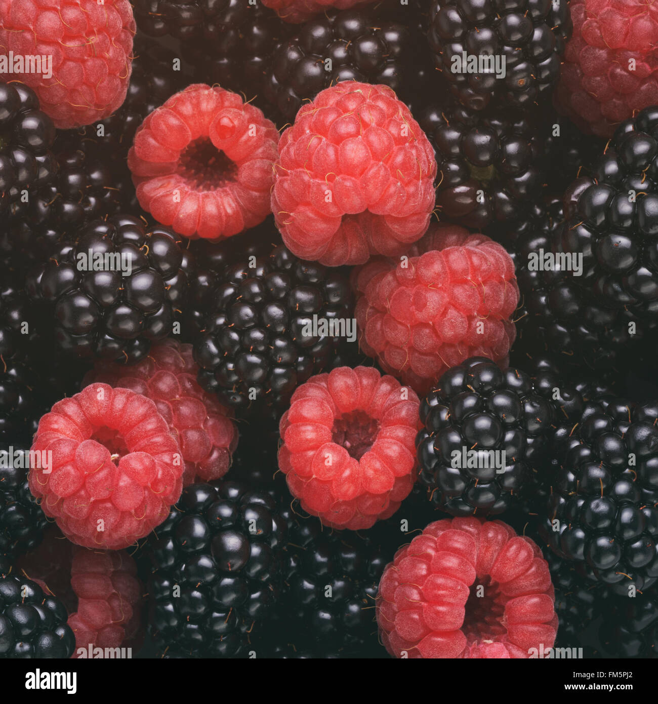 Mûre et de framboise fraîche fond Vue de dessus Banque D'Images