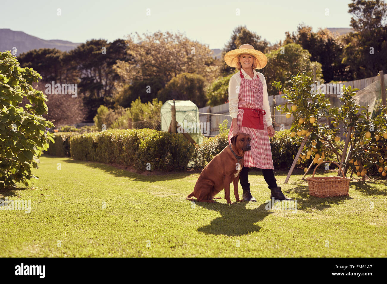 Senior woman dans sa cour arrière avec chien fidèle Banque D'Images