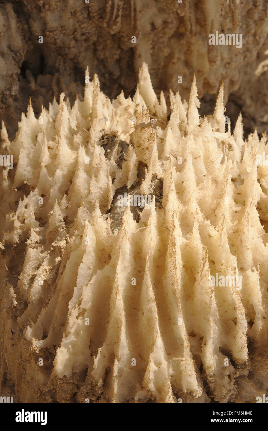 Les dépôts de sel sur les bords de la Mer Morte, Jordanie, Wadi Mujib Banque D'Images