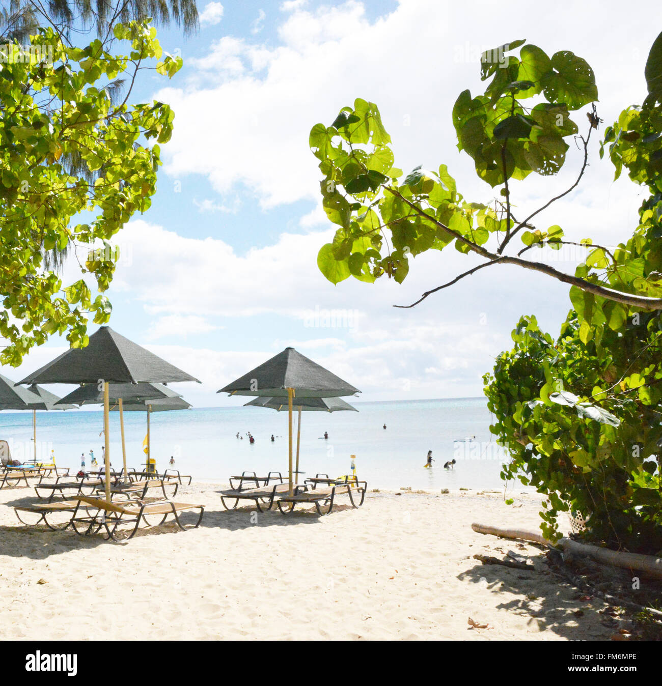 Green Island, Queensland, Grande Barrière de Corail, Australie Banque D'Images